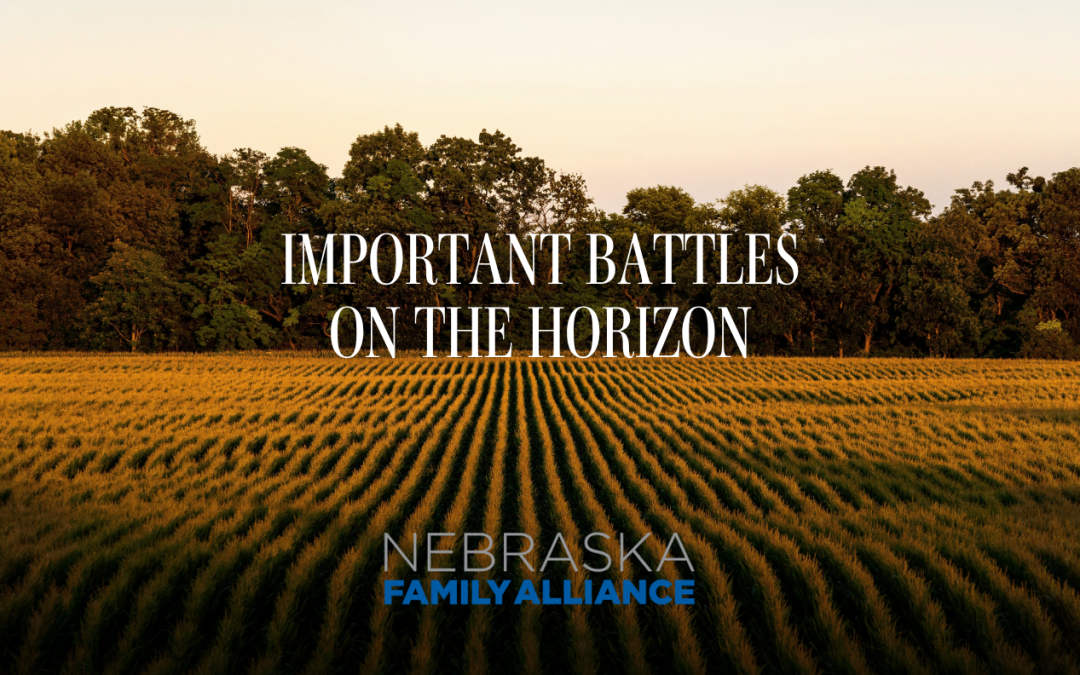 Important Battles Are On The Horizon